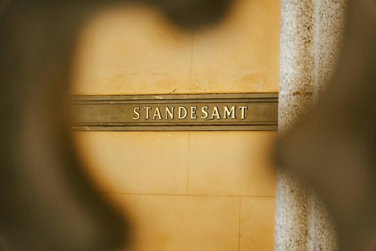 fabseibgers account monitoring logs